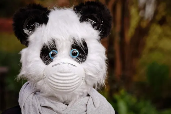 סילברפליי קזינו תמיכה